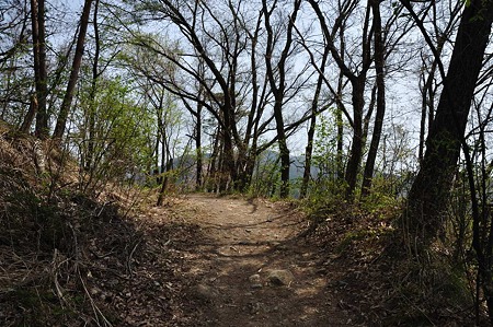 1005051320_DSC_5620
