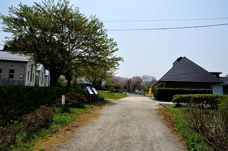 1005061050_DSC_6434