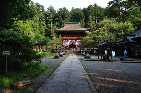 1008211702_DSC_8575