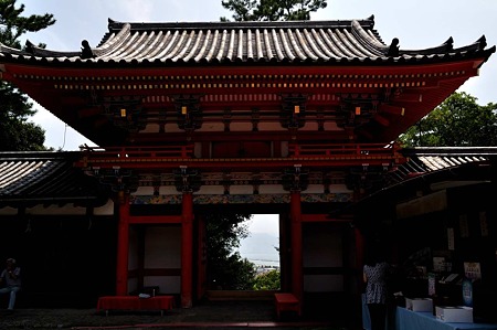1008221221_DSC_8962