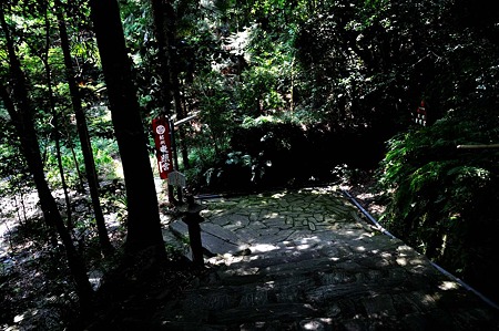 1008221224_DSC_8969