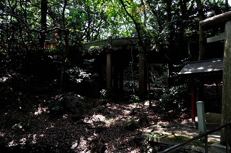 1008221227_DSC_8980