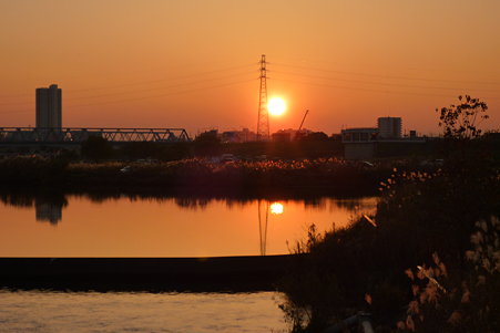 P1000581