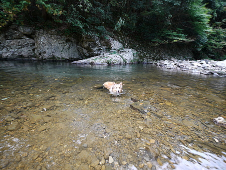 P1120060