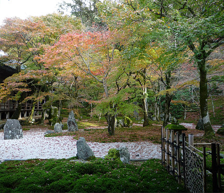光明禅寺の紅葉