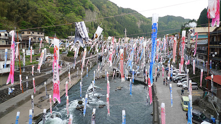 杖立温泉の鯉のぼり(3)
