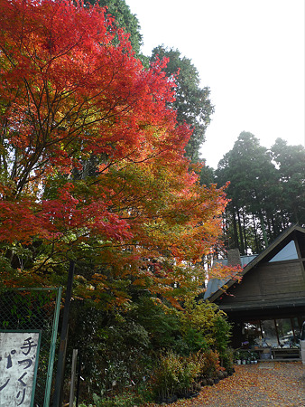 わかさ農園(2)