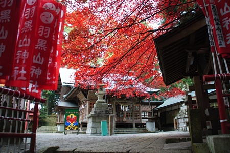 haguroyamajinnja_utunomiya06