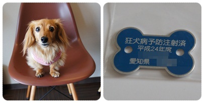 20120520 狂犬病予防接種 完了♪