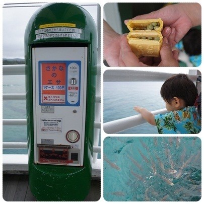 20120603 ブセナ海中公園(海中展望塔、お魚さんエサ)