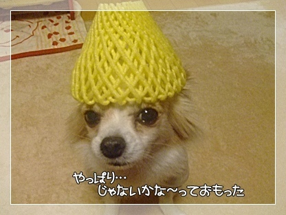やっぱり