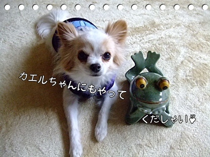 おやつください