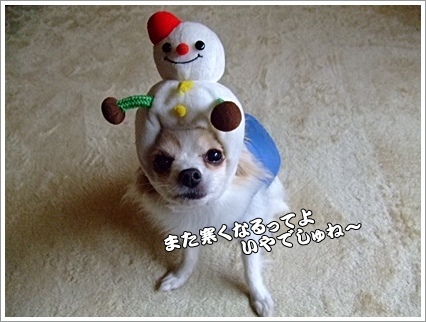 いやでしゅね~