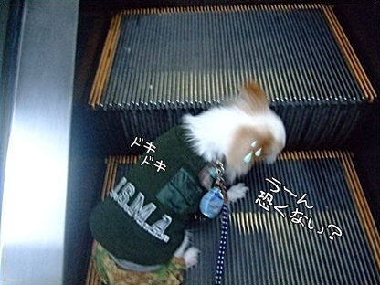 恐くない?