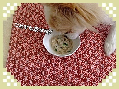 これが