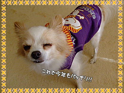 バッチリ!!