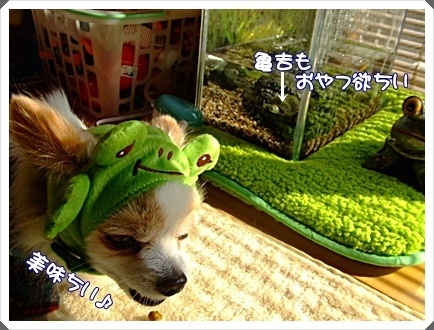 DSCF4974