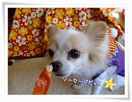 今日のおやつ
