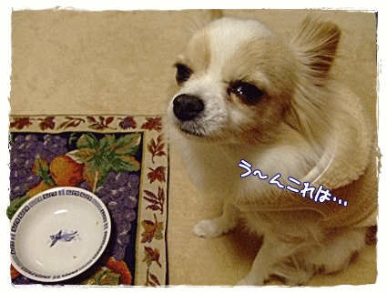 おねだり