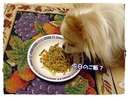 晩ご飯