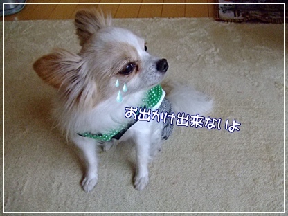涙