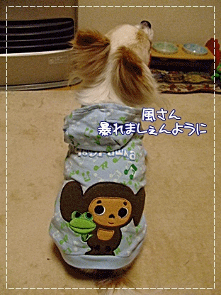 お願い