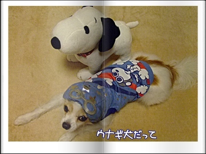 ウナギ犬