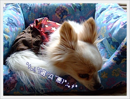 最悪