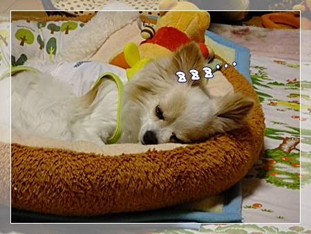 zzz…