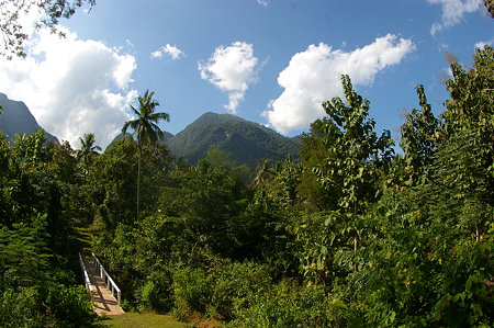 IMGP6514