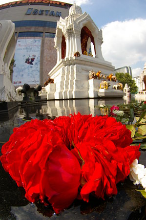 IMGP9388
