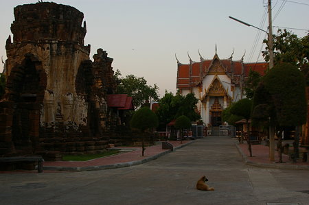 IMGP0560
