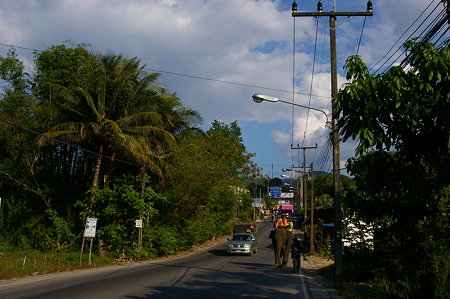 IMGP0983