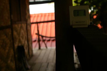 IMGP2918