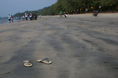 IMGP2964