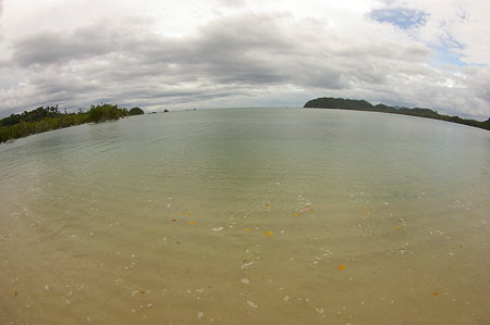 IMGP4609