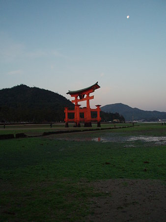 P1040653