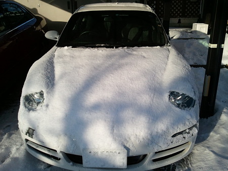 2011-01-28 08.17.23
