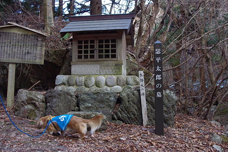 100221しっぺい太郎の墓