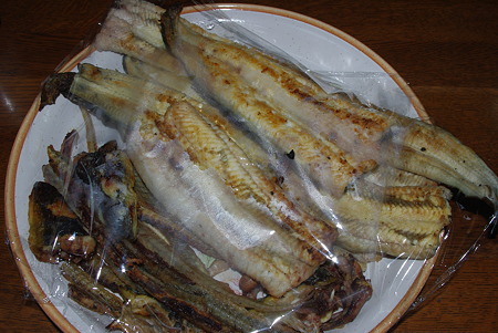 110504浜名湖産天然うなぎ05