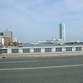 新潟市の午後 - 萬代橋から見る風景 - 3