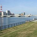 信濃川の午後 - 萬代橋 - 1
