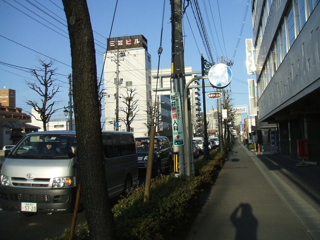 さくら通り - 桑野 - 1